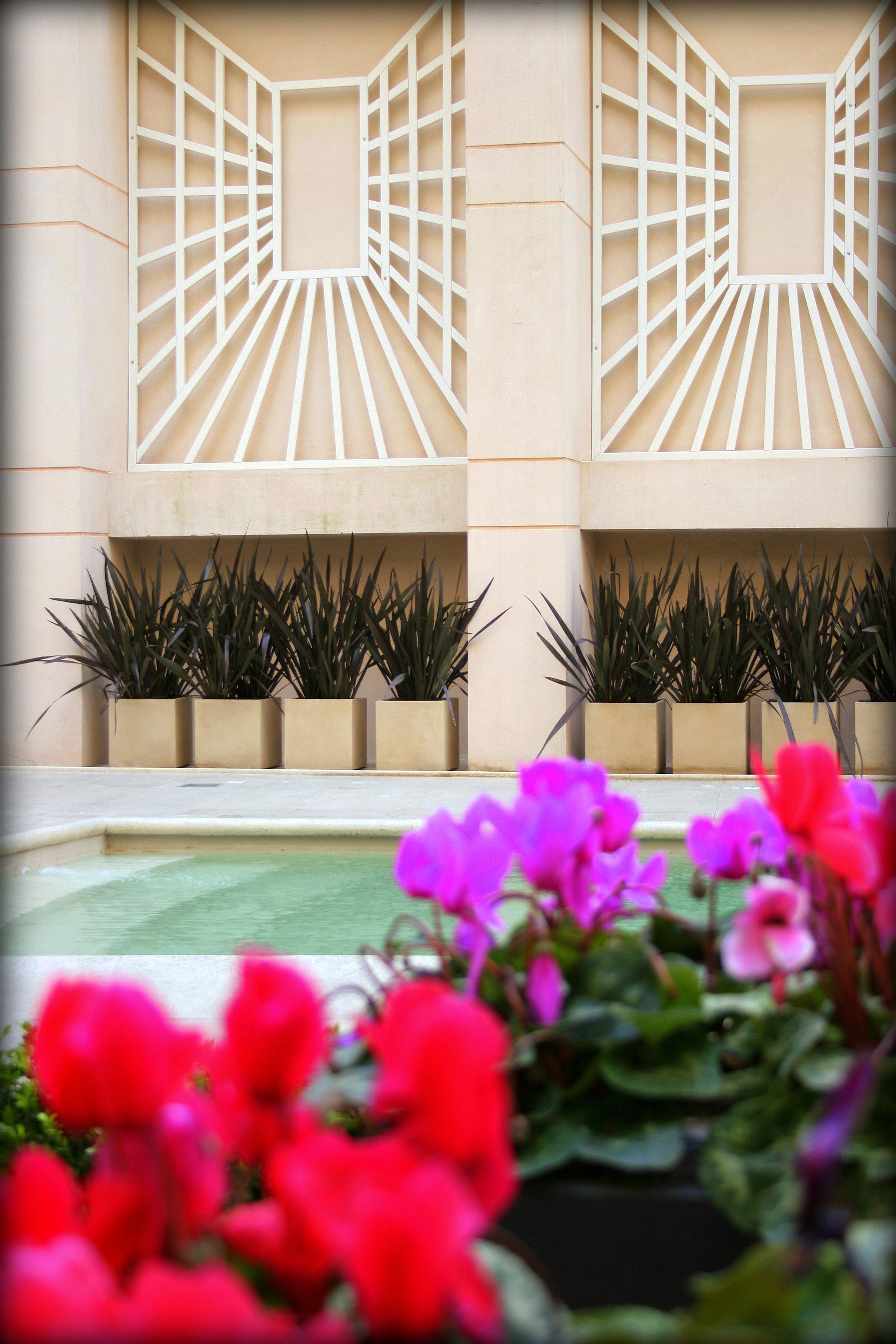 فندق Regal Pacific Puerto Madero بوينس آيرس المظهر الخارجي الصورة The pool at the Four Seasons Hotel